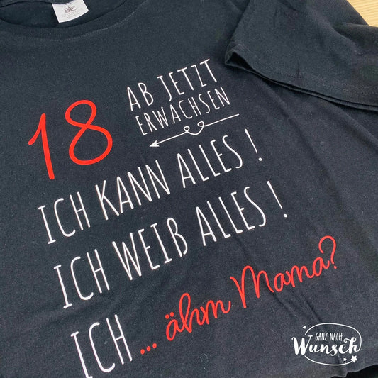 Shirt zum 18.Geburtstags | Geburtstagsgeschenk | Erwachsen | T-Shirt zum 18. Geburtstag | Geschenk